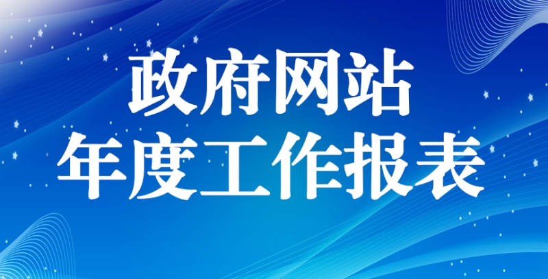 政府网站年度工作报表