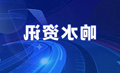 网络赌博平台